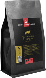 Guatemala El Jaguar