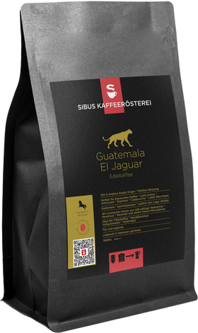 Guatemala El Jaguar